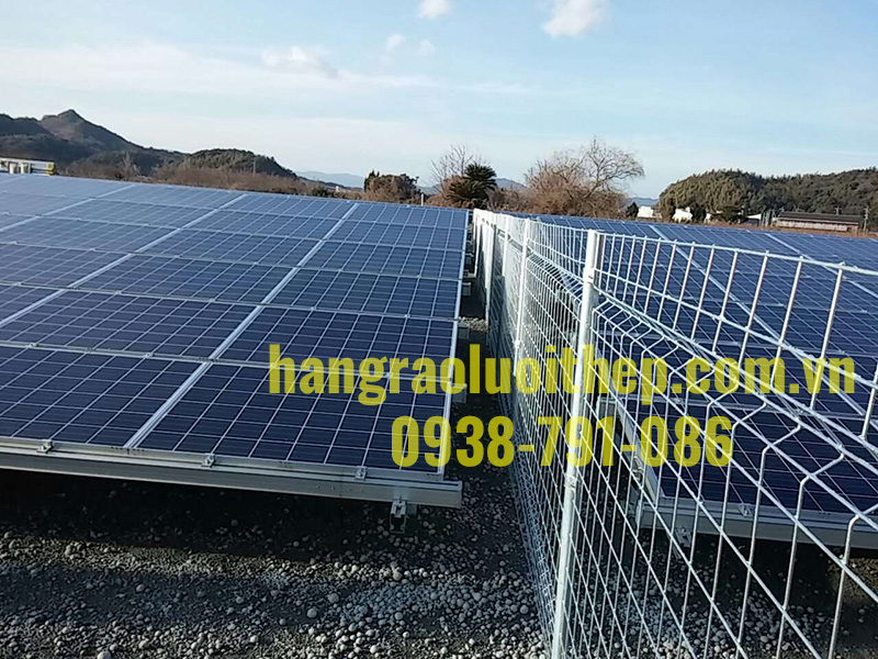 Hàng Rào Lưới Thép Chấn Sóng