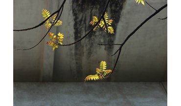 Nắng qua hàng rào kẽm gai